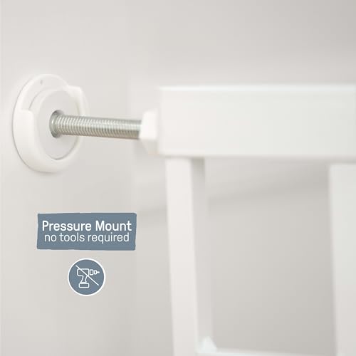 Summer by Ingenuity Doorway 48W Safety Gate - White