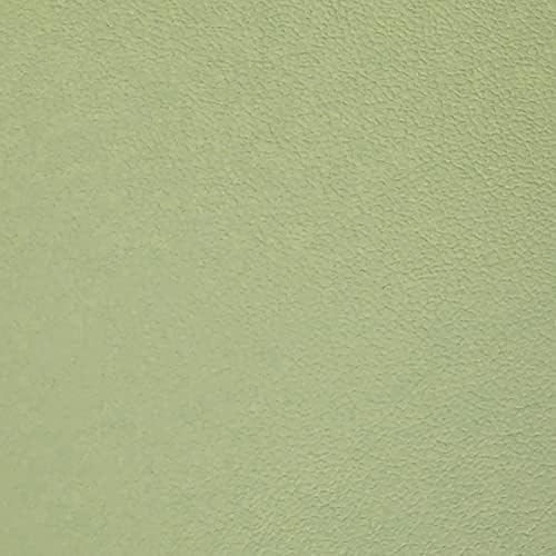 Royal Massage T-Wedge Cushion Light Green