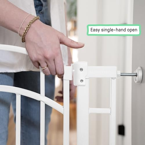 Summer by Ingenuity Doorway 48W Safety Gate - White