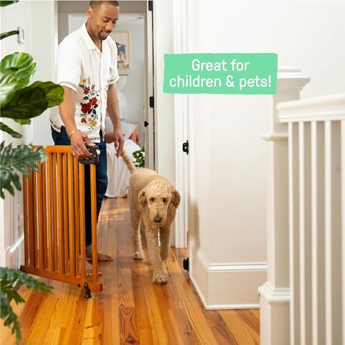 Summer Wood Banister and Baby Gate with Auto Close 30-48 Wide