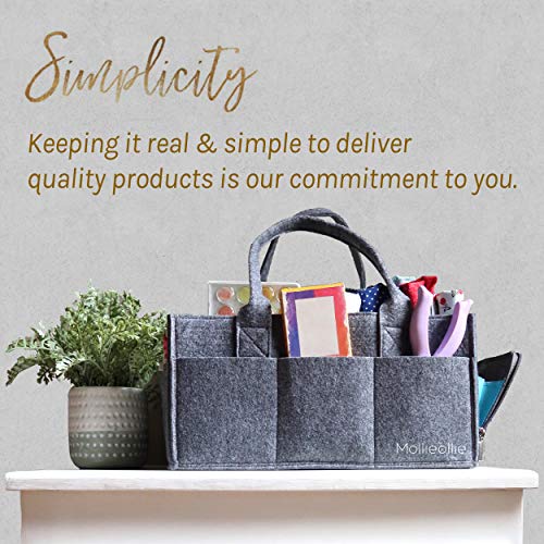 Eitonbu Premium Baby Diaper Caddy Organizer 1