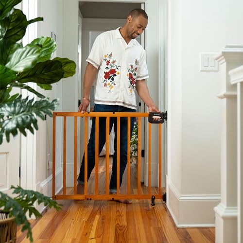 Summer Wood Banister and Baby Gate with Auto Close 30-48 Wide