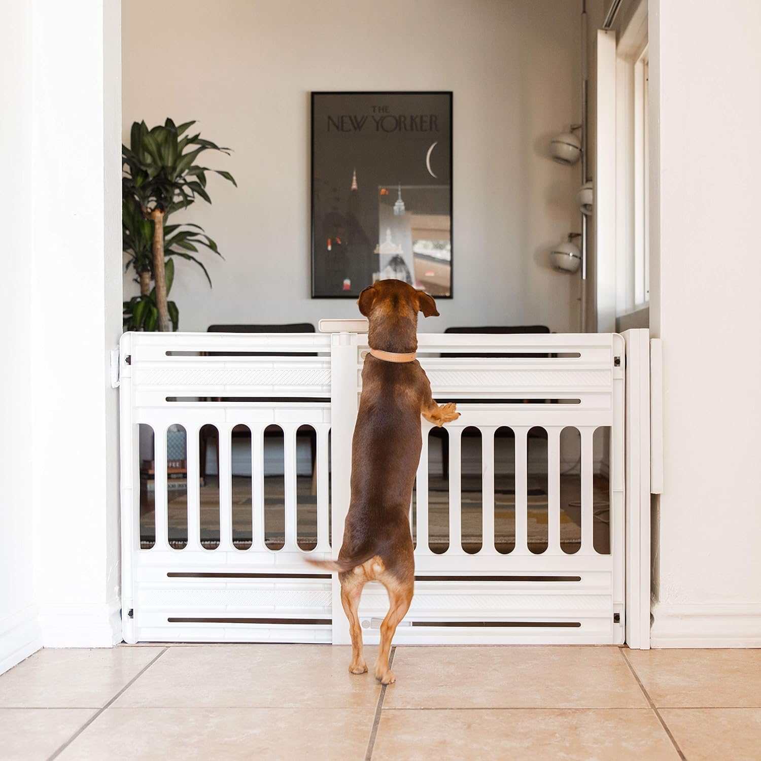 IRIS USA Expandable Pet Gate for Doorways