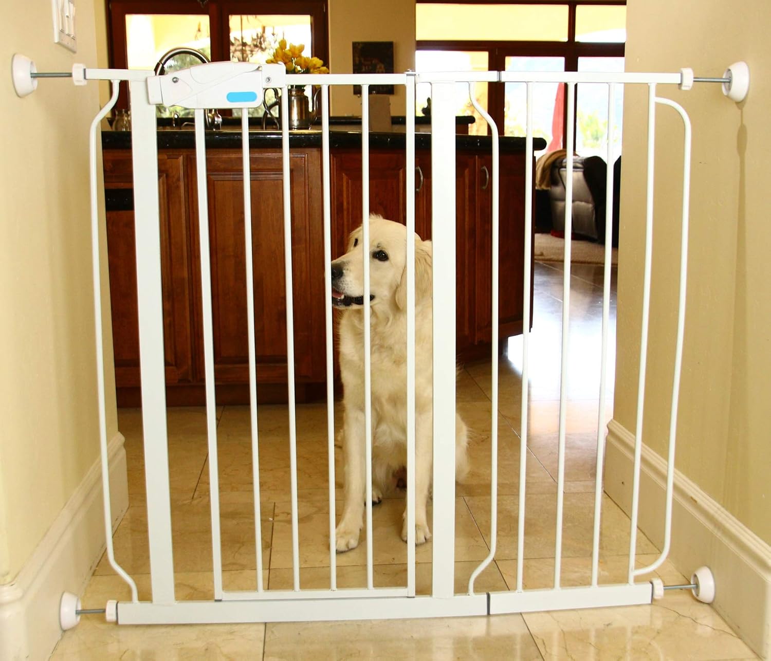 Small Wall Protectors 4 Pack - White