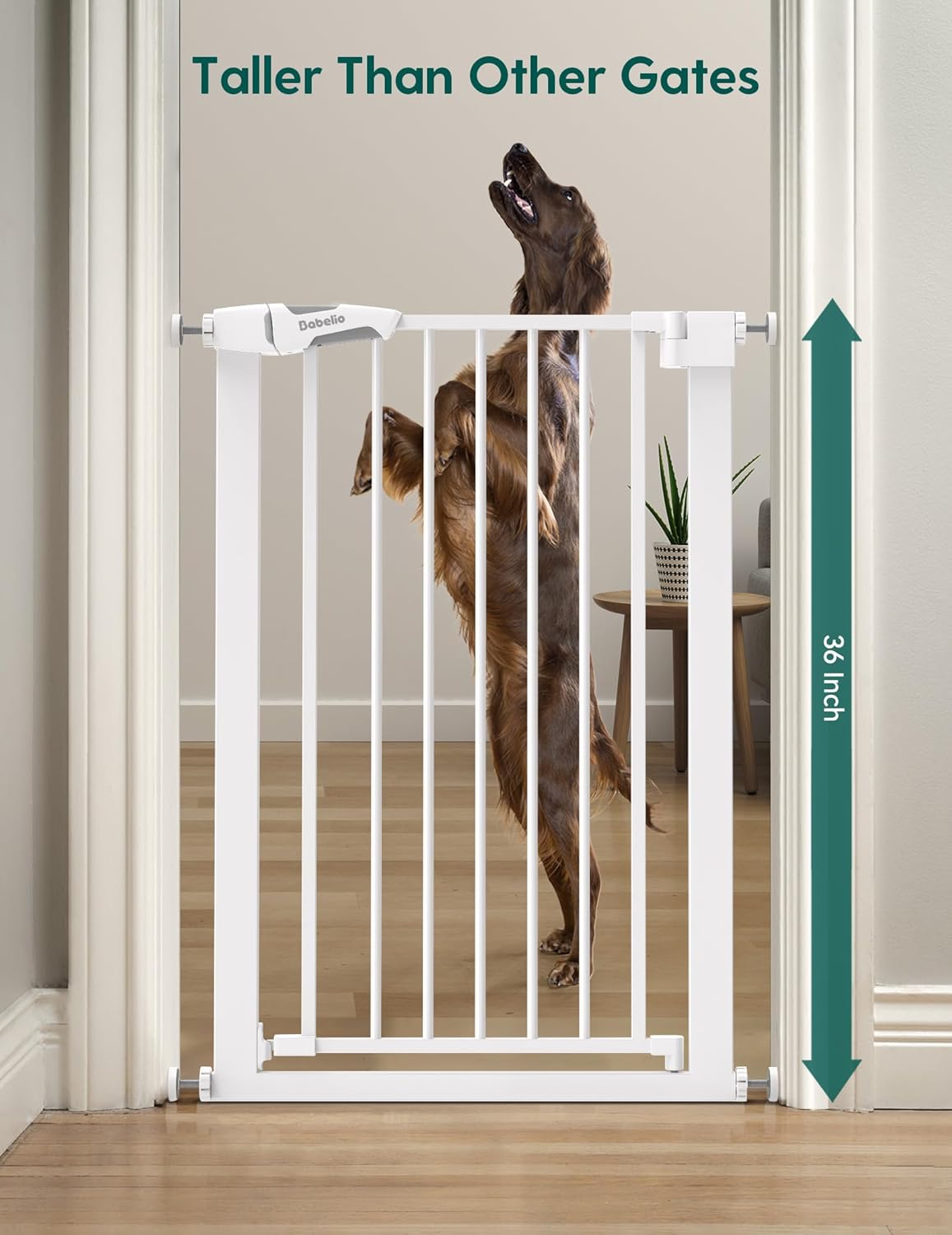 BABELIO 36 Tall Narrow Baby Gate with Auto-Close