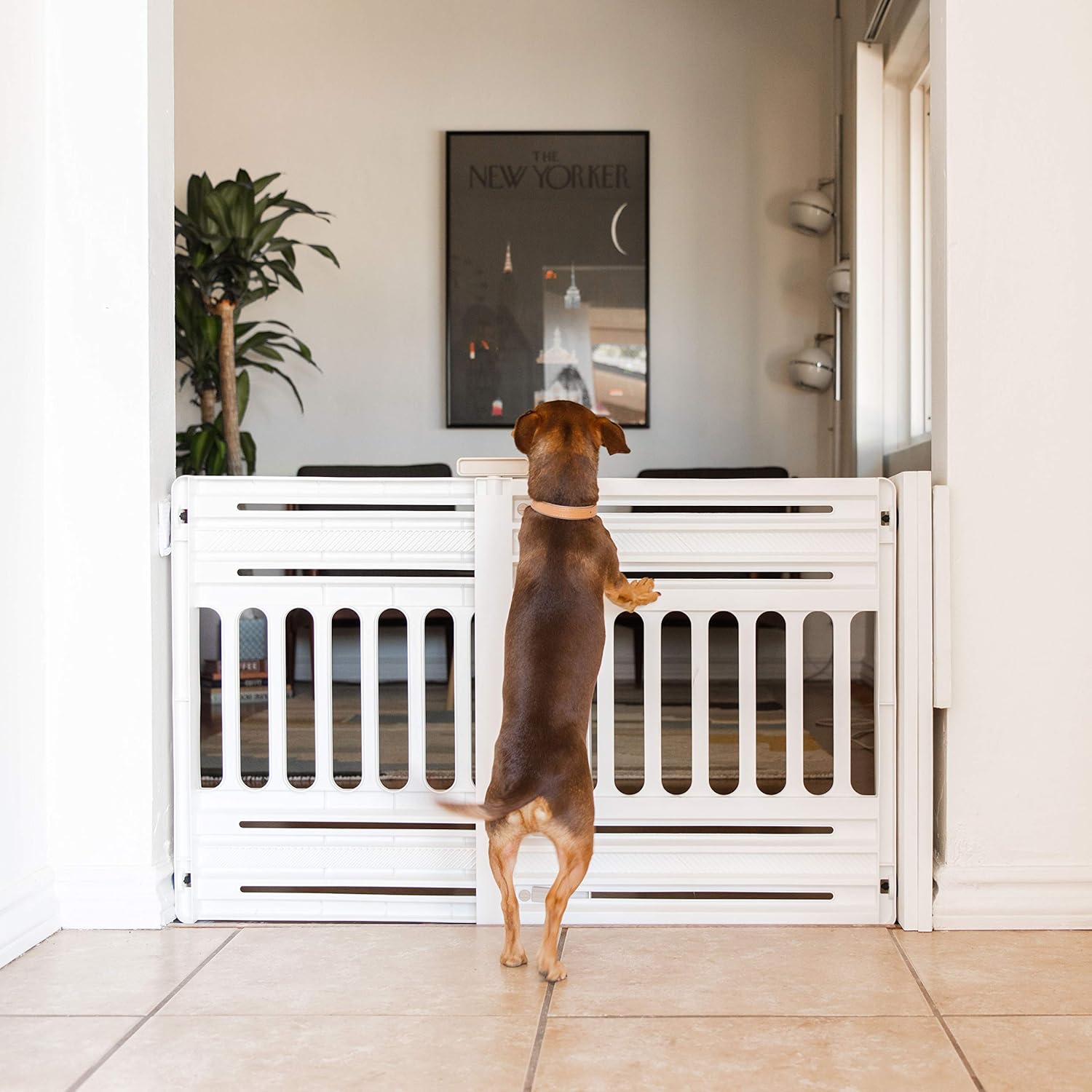 IRIS USA Expandable Dog Gate 25 H White