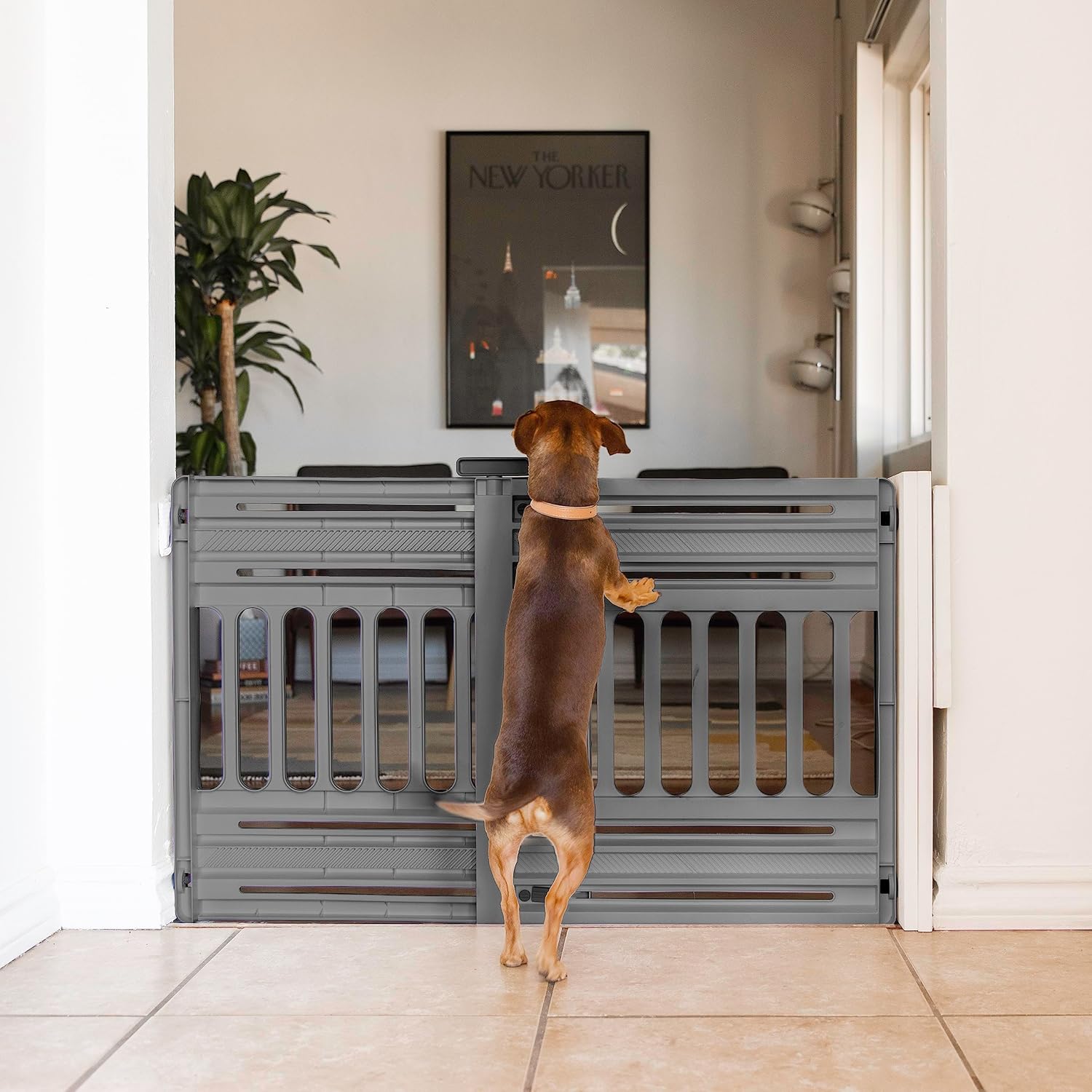 IRIS USA Dog Gate 24-39 Expandable Gray