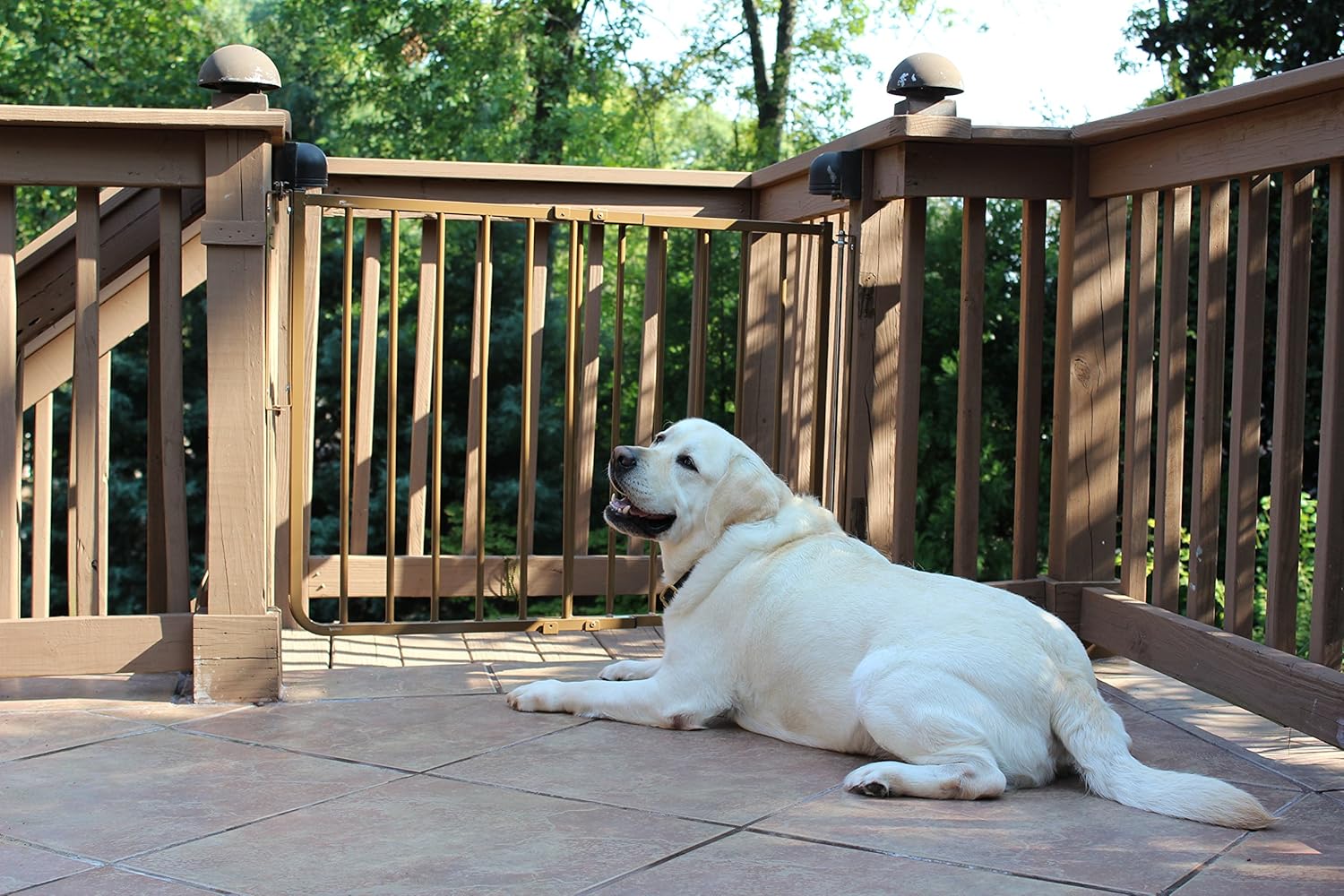 Cardinal Gates SS30OD Outdoor Baby Gate - 27-425 Inches Wide Brown